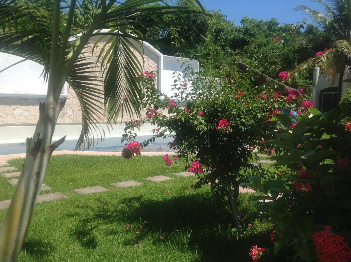 Bed and Breakfast Casa Pili à Playa del Carmen Extérieur photo